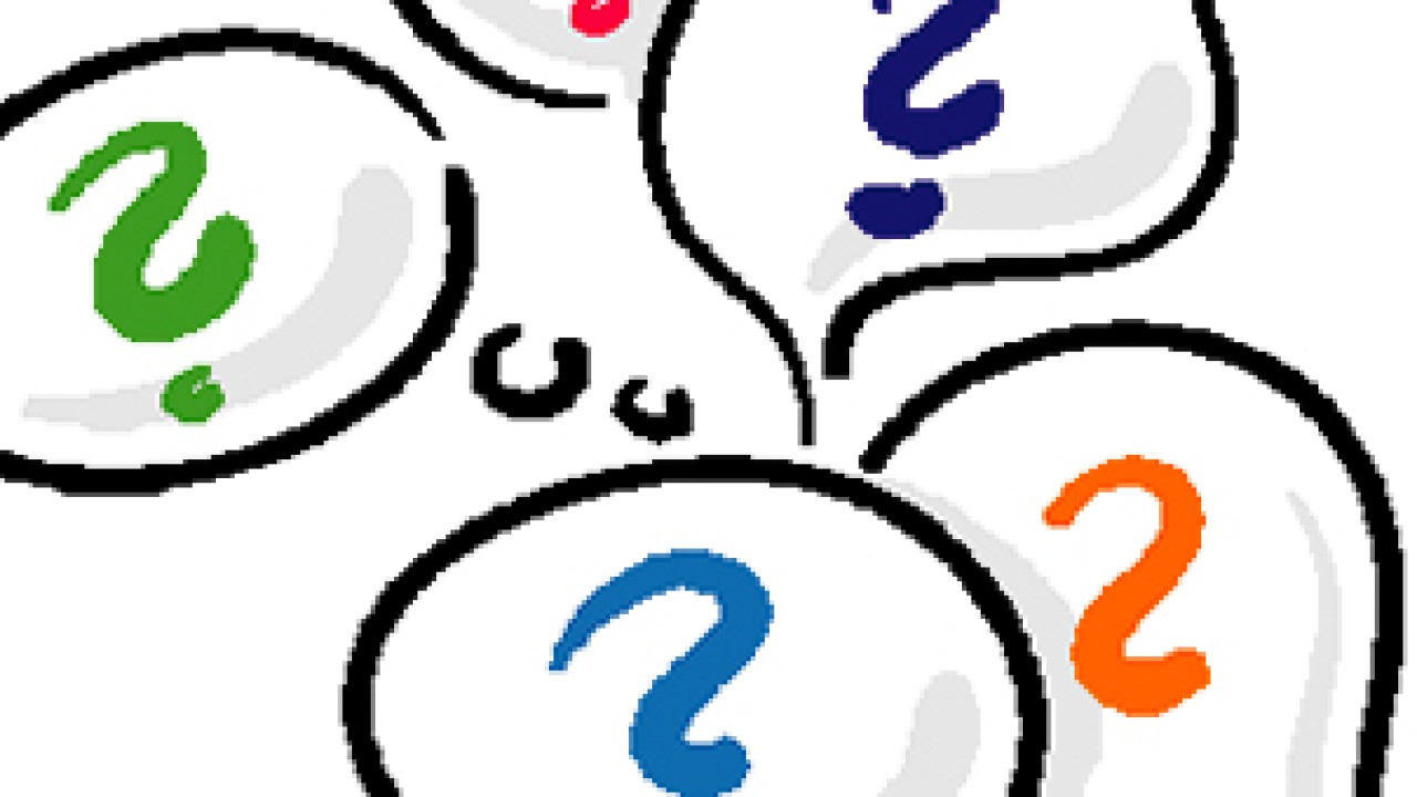 Primo partants : journées d’information et de préparation au départ