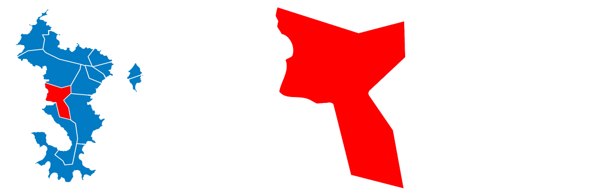 Canton de Ouangani